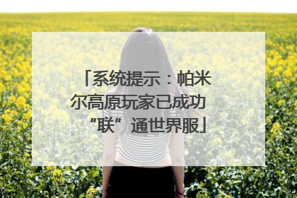 系统提示：帕米尔高原玩家已成功“联”通世界服